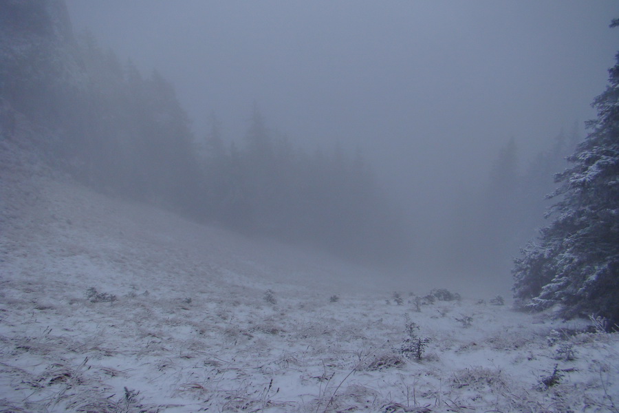 Poludnica z Liptovského Jána (Nízke Tatry)