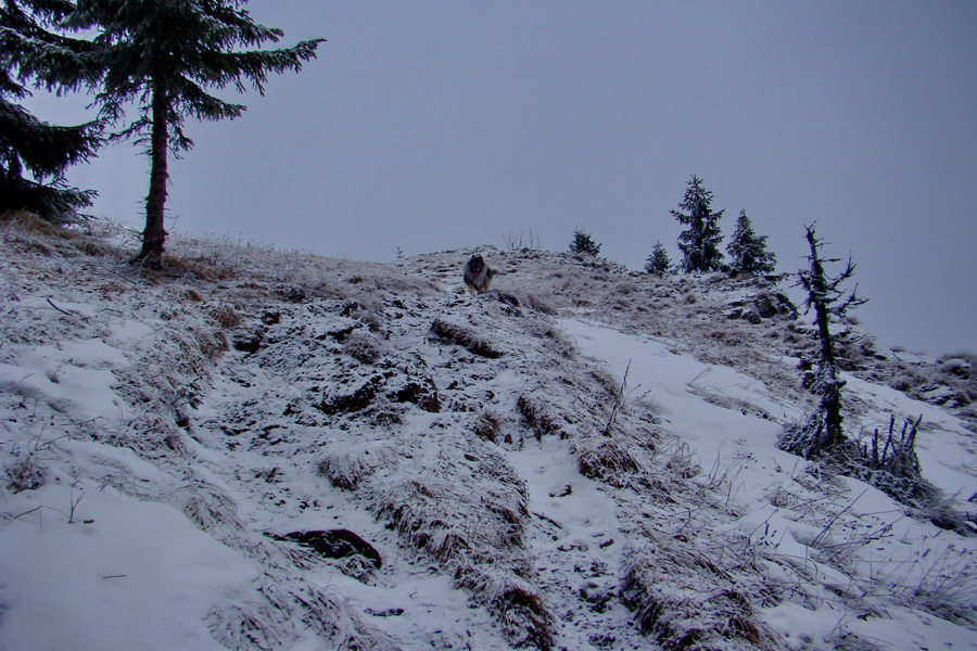 Poludnica z Liptovského Jána (Nízke Tatry)