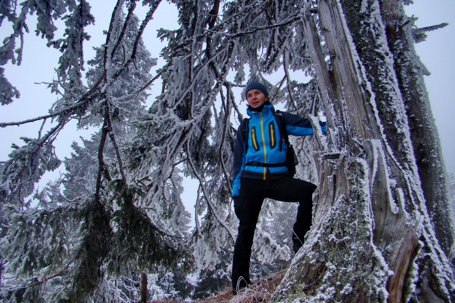 Poludnica z Liptovského Jána (Nízke Tatry)