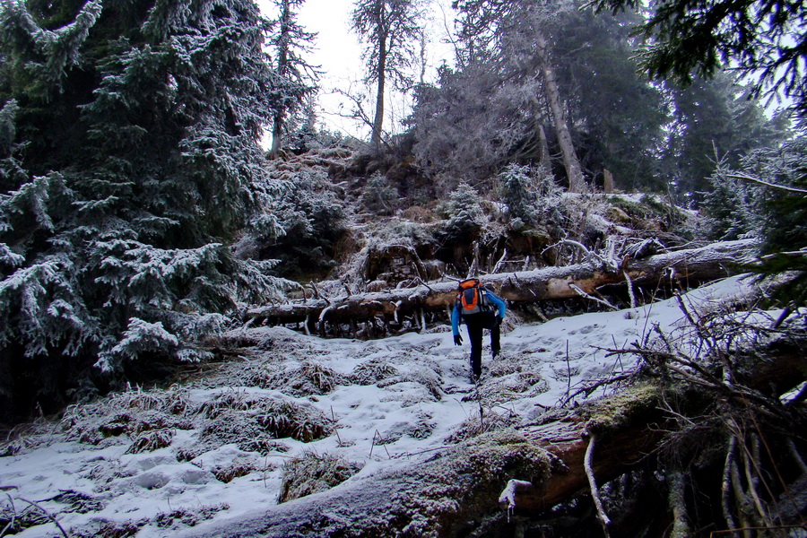 Poludnica z Liptovského Jána (Nízke Tatry)