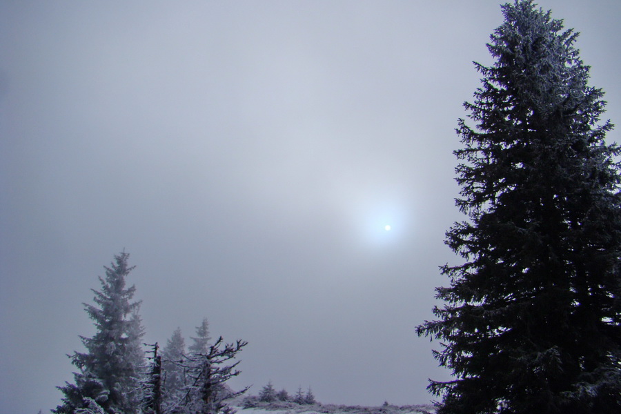 Poludnica z Liptovského Jána (Nízke Tatry)