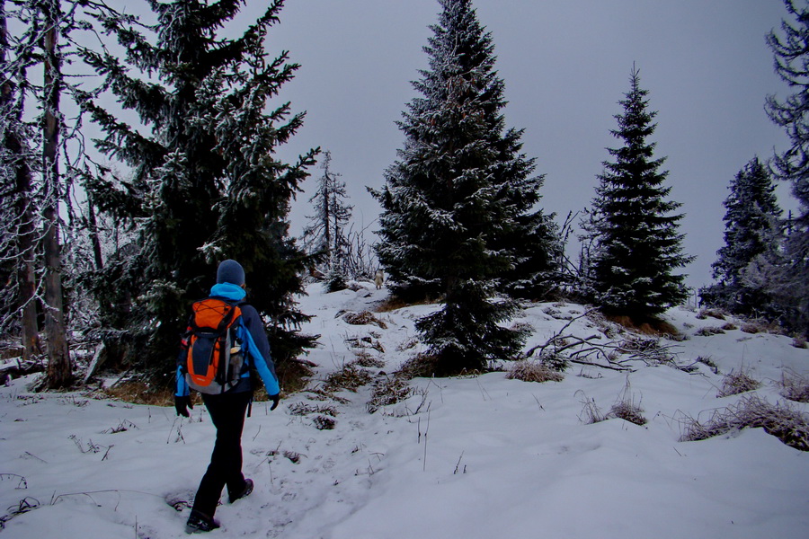 Poludnica z Liptovského Jána (Nízke Tatry)