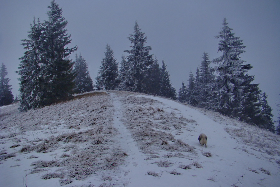 Poludnica z Liptovského Jána (Nízke Tatry)