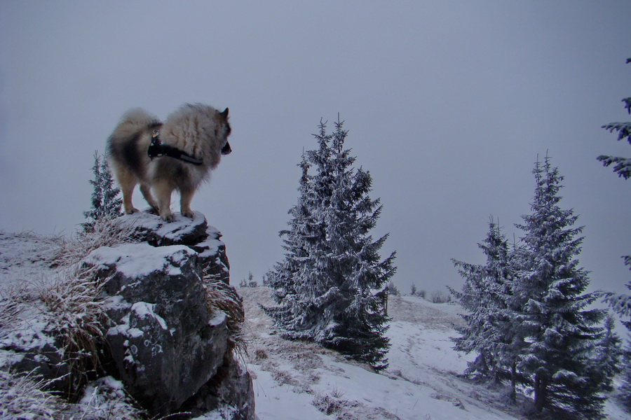 Poludnica z Liptovského Jána (Nízke Tatry)