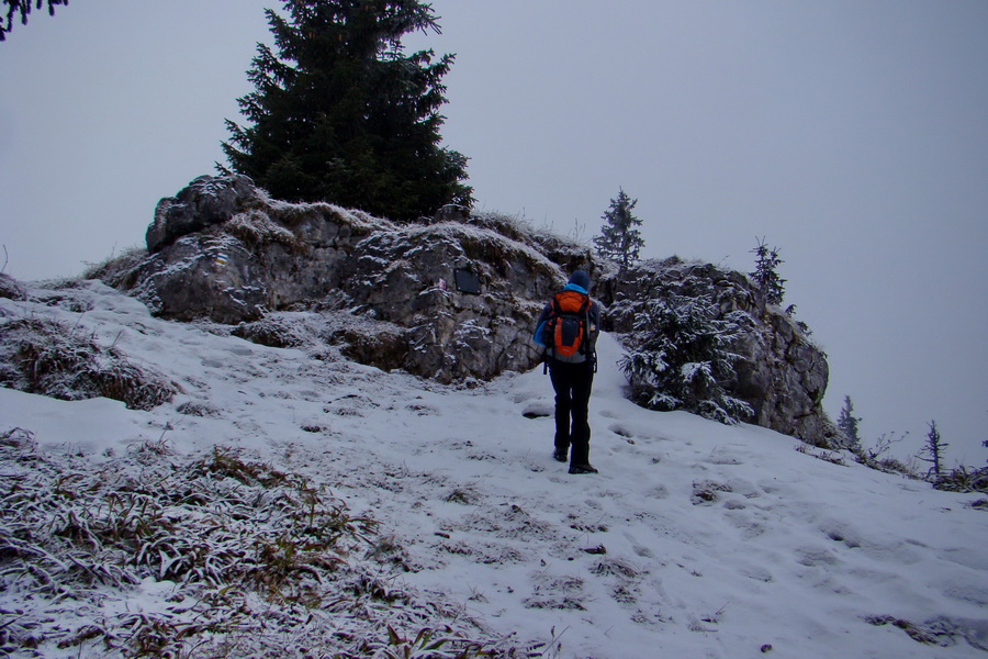 Poludnica z Liptovského Jána (Nízke Tatry)