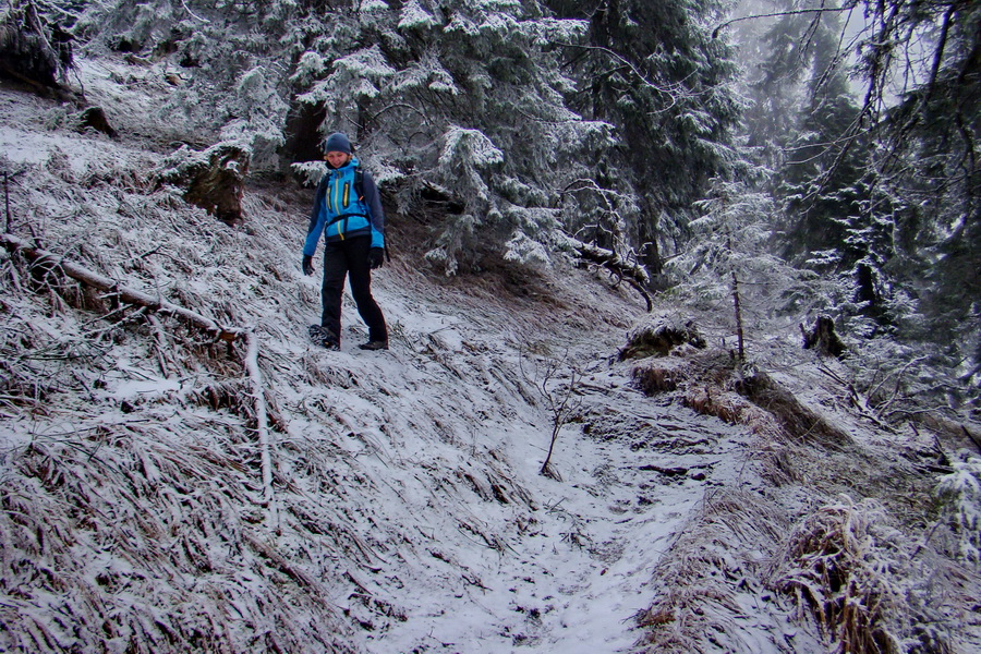 Poludnica z Liptovského Jána (Nízke Tatry)