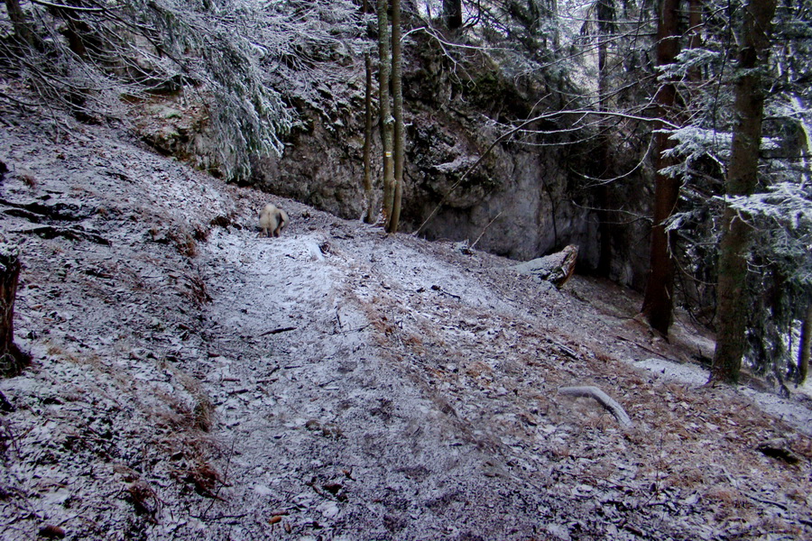 Poludnica z Liptovského Jána (Nízke Tatry)