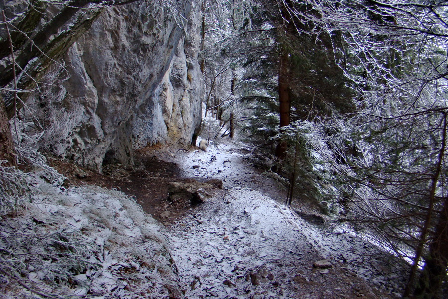 Poludnica z Liptovského Jána (Nízke Tatry)