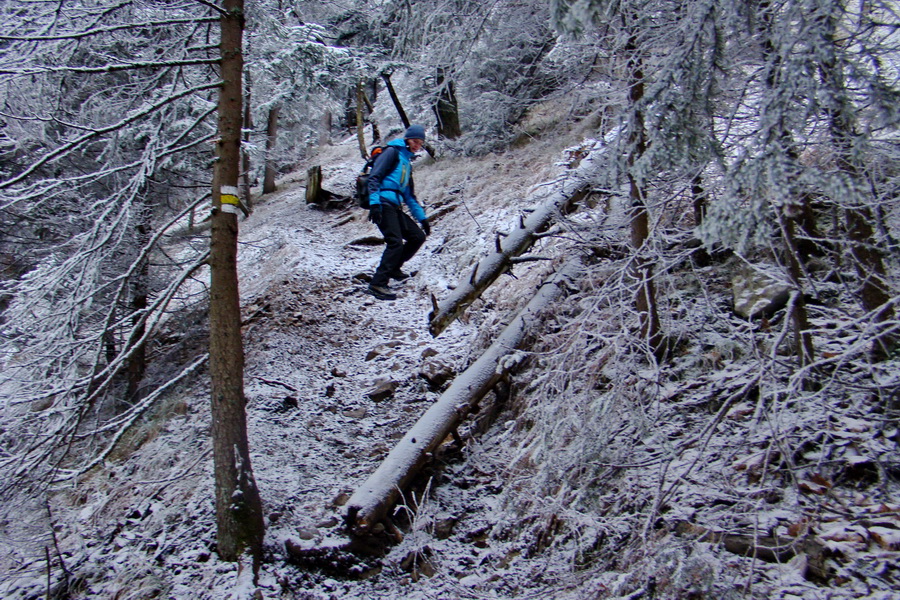 Poludnica z Liptovského Jána (Nízke Tatry)