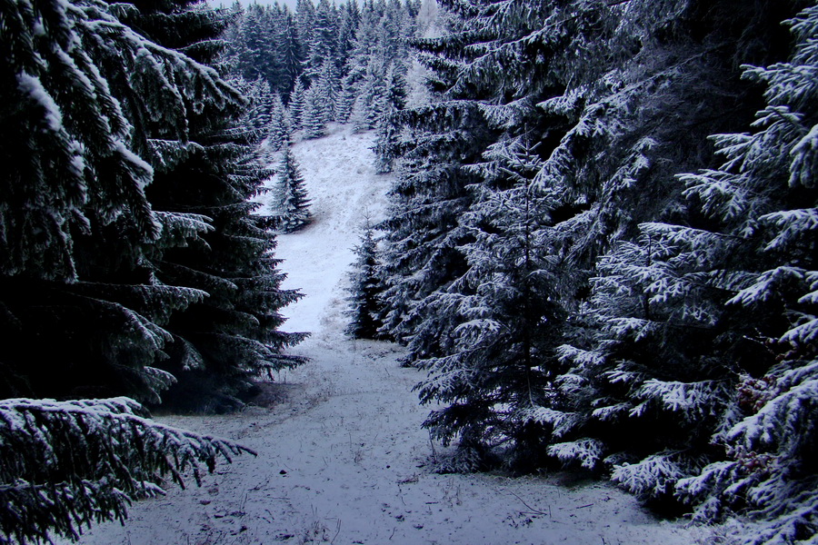 Poludnica z Liptovského Jána (Nízke Tatry)