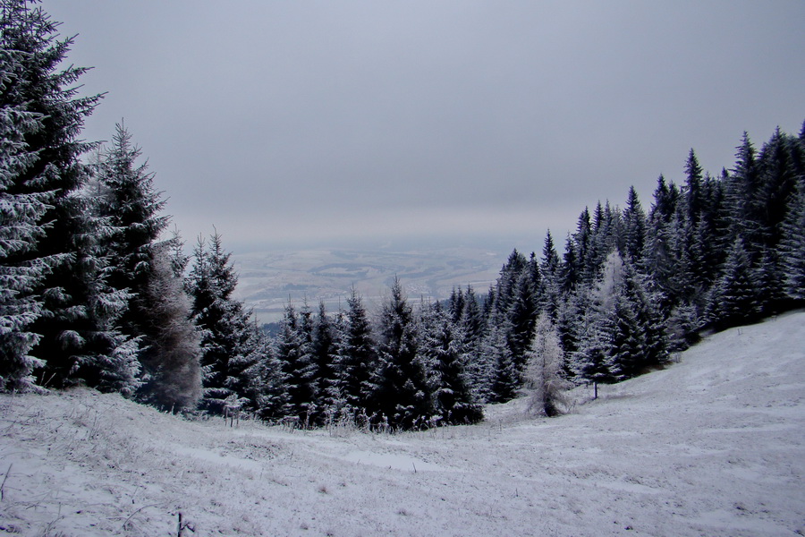 Poludnica z Liptovského Jána (Nízke Tatry)