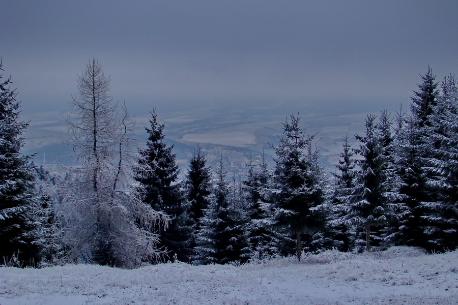 Poludnica z Liptovského Jána (Nízke Tatry)