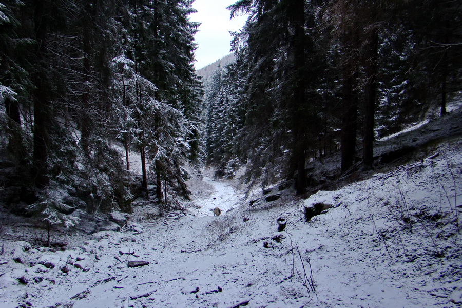 Poludnica z Liptovského Jána (Nízke Tatry)