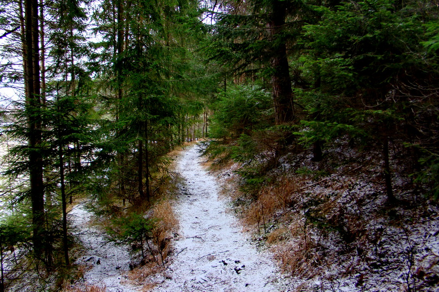 Poludnica z Liptovského Jána (Nízke Tatry)