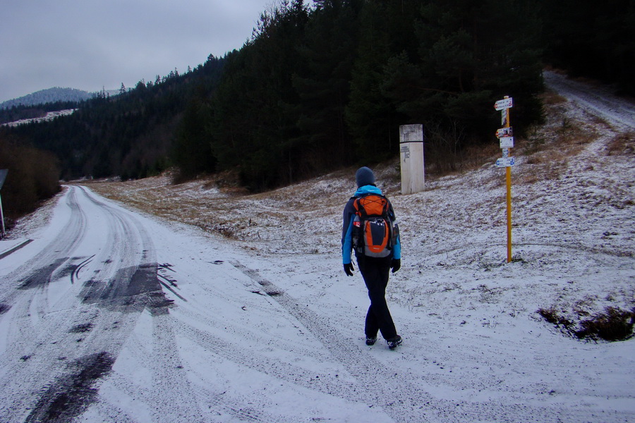 Poludnica z Liptovského Jána (Nízke Tatry)