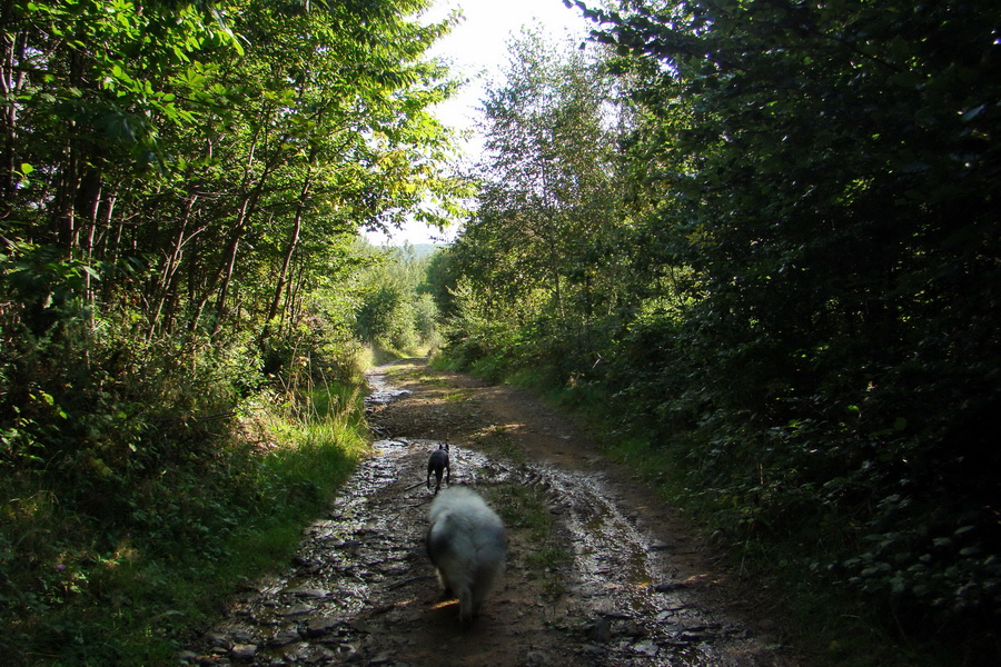 Šimonka a Zámutovské skaly (Slanské vrchy)