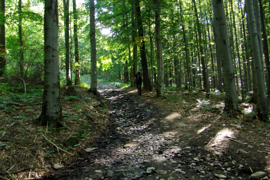 Šimonka a Zámutovské skaly (Slanské vrchy)