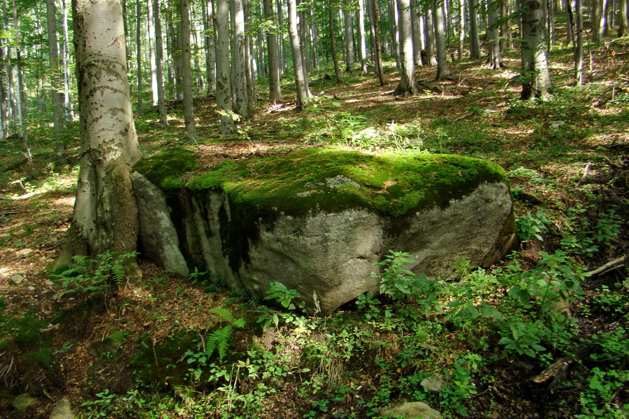 Šimonka a Zámutovské skaly (Slanské vrchy)