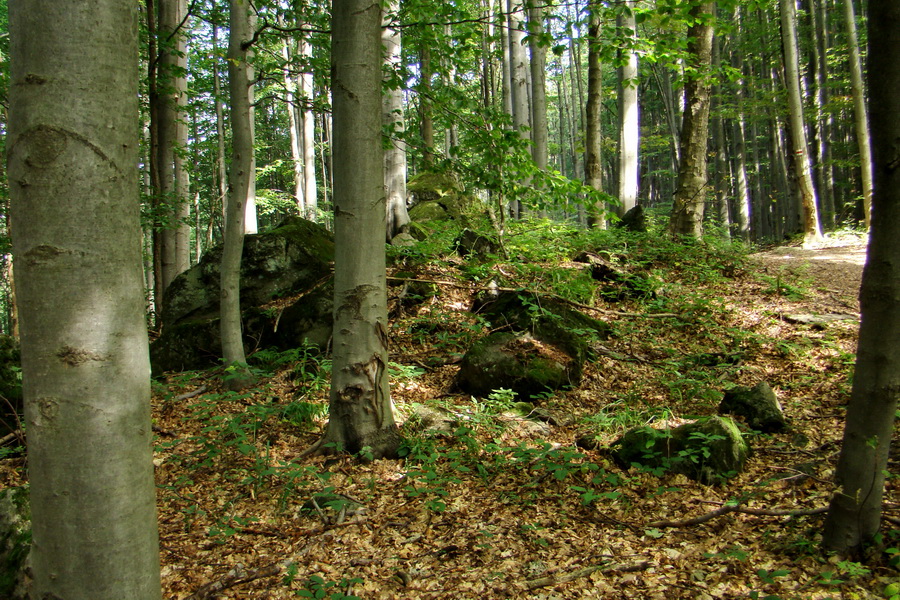 Šimonka a Zámutovské skaly (Slanské vrchy)