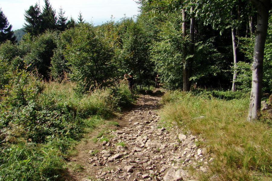 Šimonka a Zámutovské skaly (Slanské vrchy)