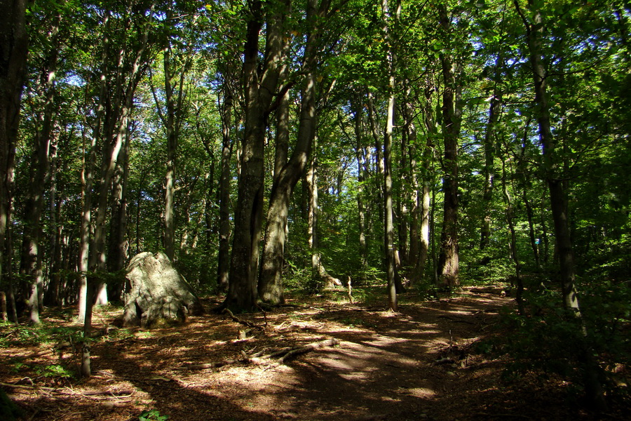 Šimonka a Zámutovské skaly (Slanské vrchy)