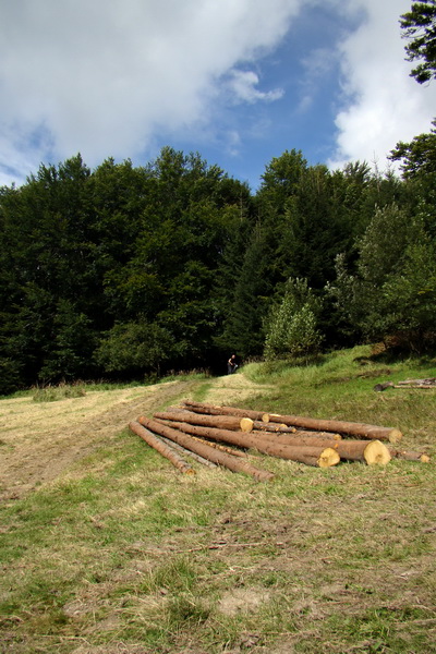 Šimonka a Zámutovské skaly (Slanské vrchy)