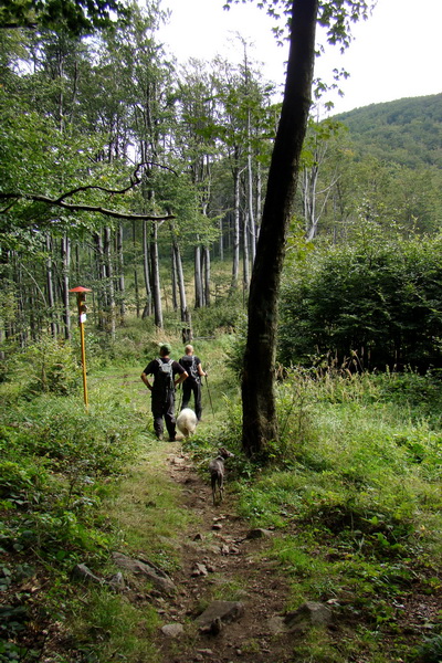 Šimonka a Zámutovské skaly (Slanské vrchy)