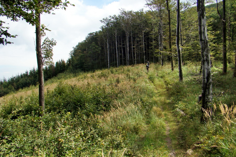 Šimonka a Zámutovské skaly (Slanské vrchy)