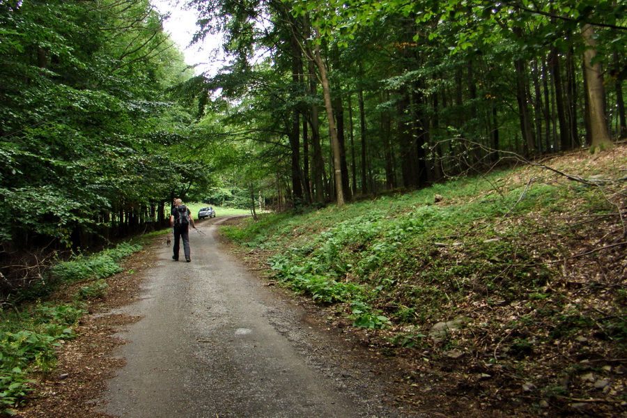 Šimonka a Zámutovské skaly (Slanské vrchy)