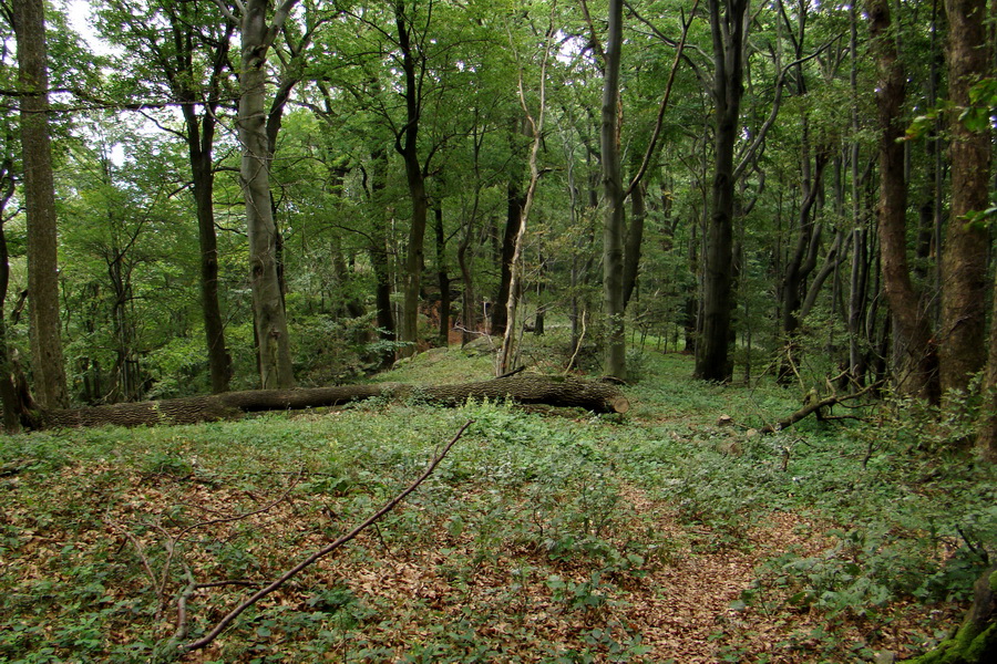 Šimonka a Zámutovské skaly (Slanské vrchy)