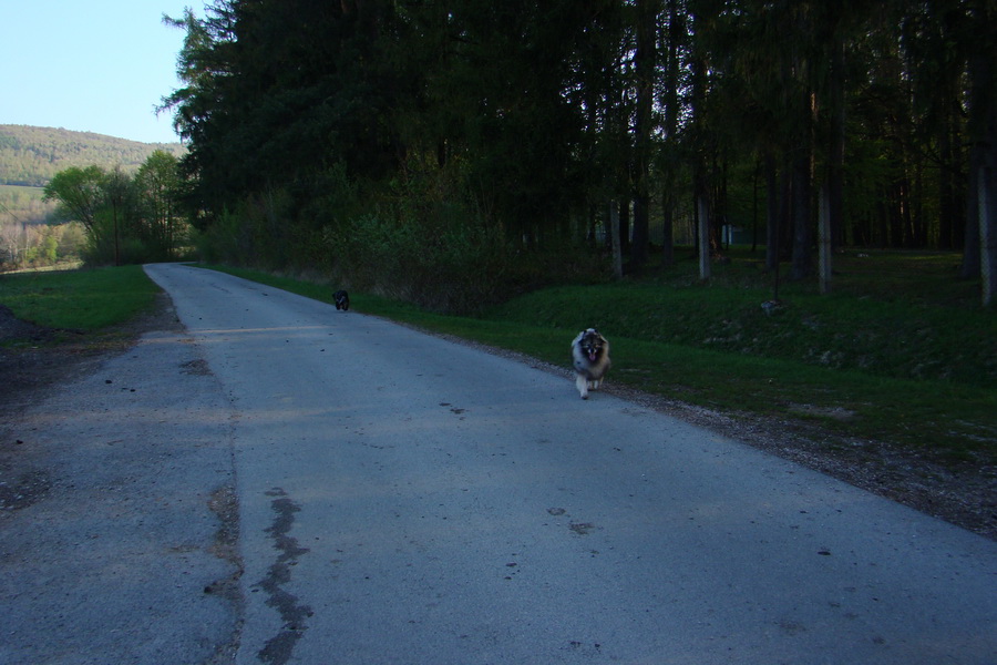 Skalisko z Betliara (Volovské vrchy)