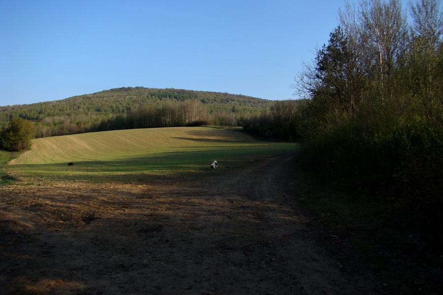 Skalisko z Betliara (Volovské vrchy)