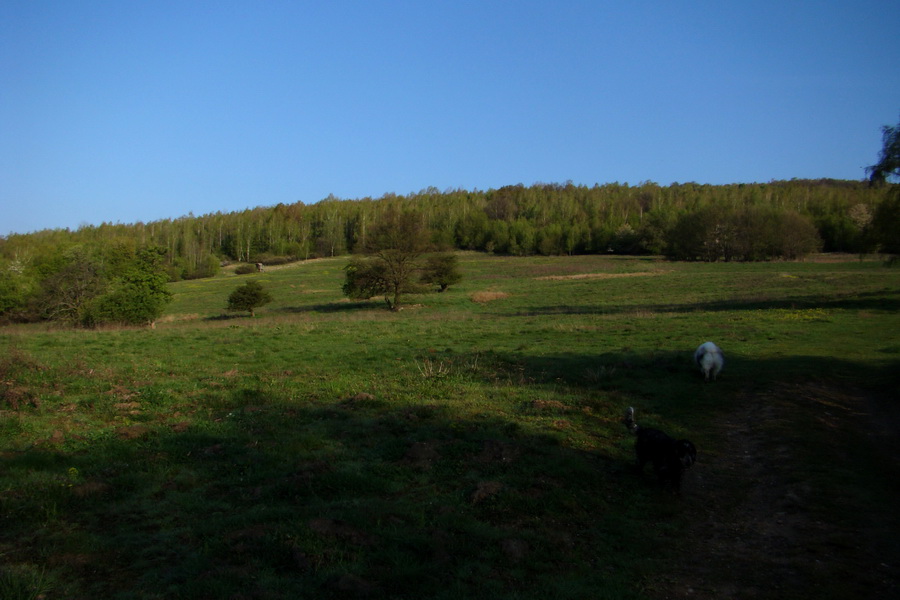 Skalisko z Betliara (Volovské vrchy)