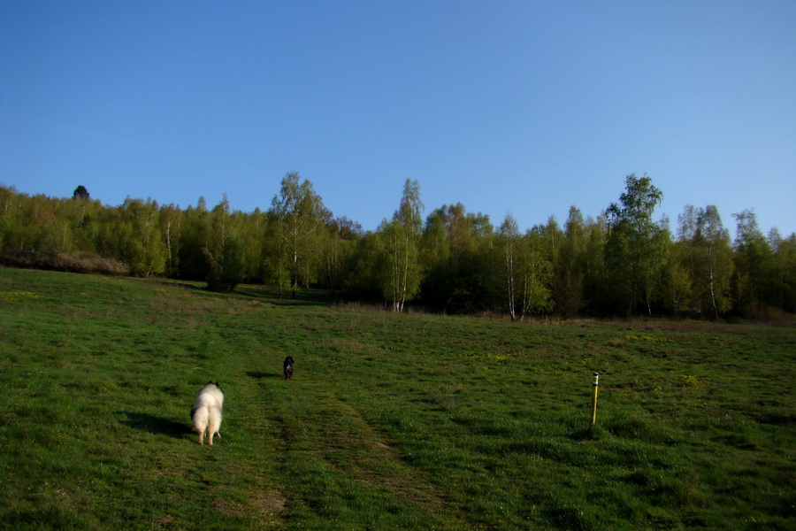 Skalisko z Betliara (Volovské vrchy)