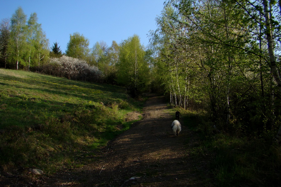 Skalisko z Betliara (Volovské vrchy)