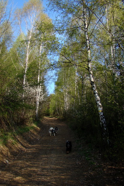 Skalisko z Betliara (Volovské vrchy)