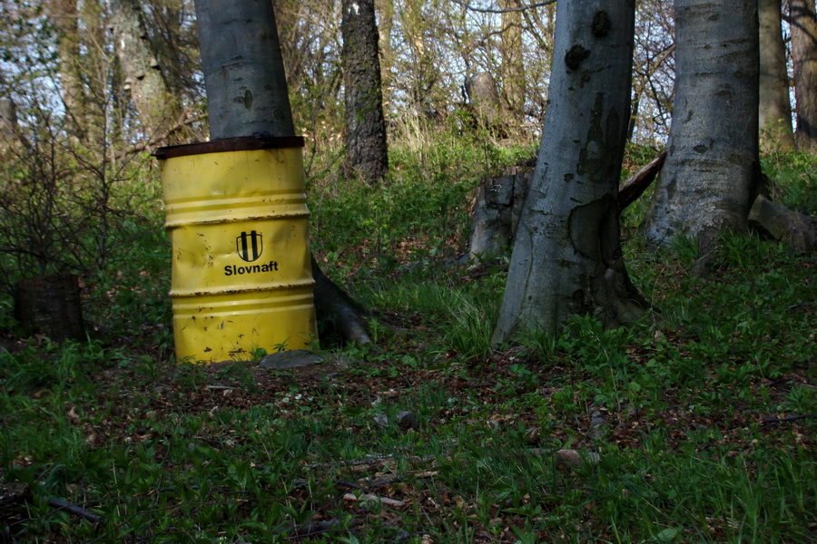 Skalisko z Betliara (Volovské vrchy)