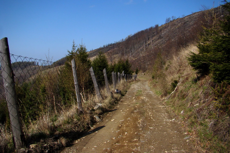 Skalisko z Betliara (Volovské vrchy)