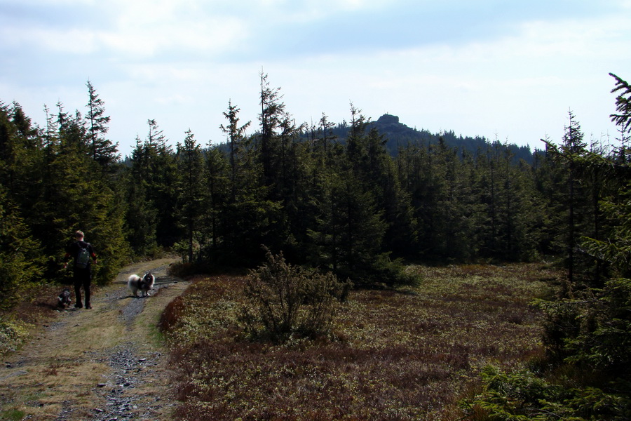 Skalisko z Betliara (Volovské vrchy)