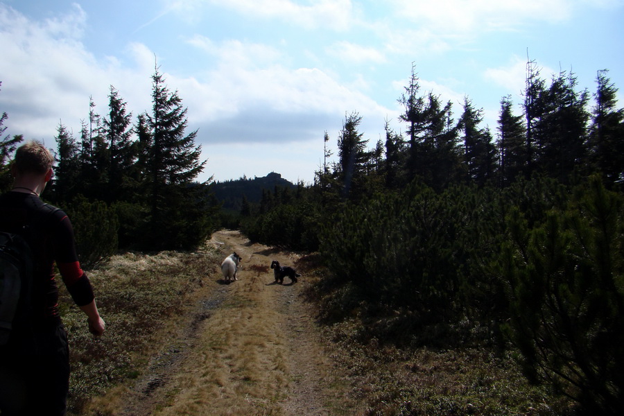 Skalisko z Betliara (Volovské vrchy)