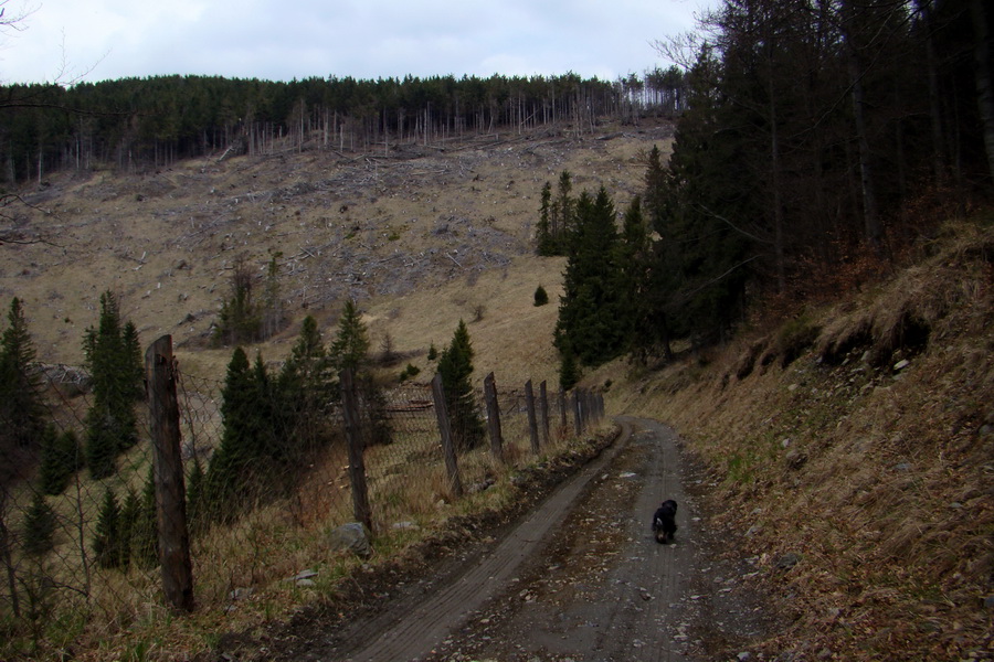 Skalisko z Betliara (Volovské vrchy)