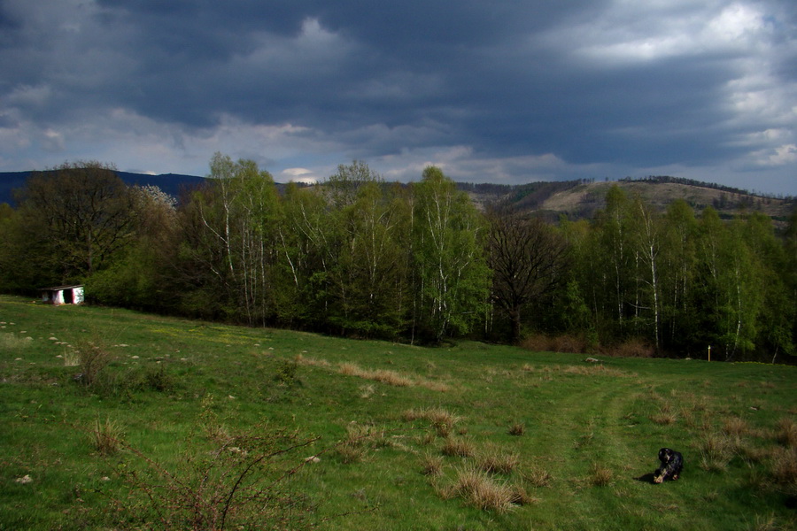 Skalisko z Betliara (Volovské vrchy)