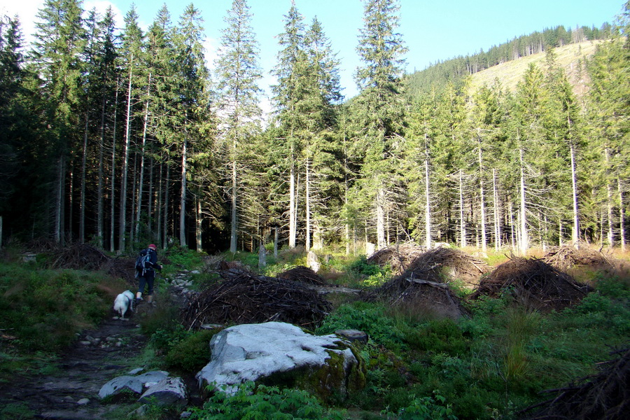 Skalka z Jasnej (Nízke Tatry)