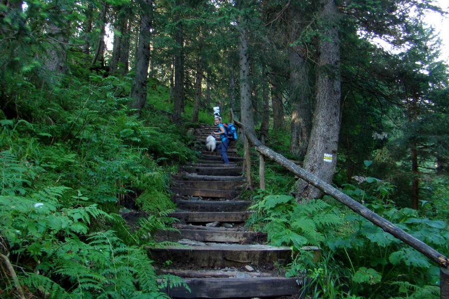 Skalka z Jasnej (Nízke Tatry)