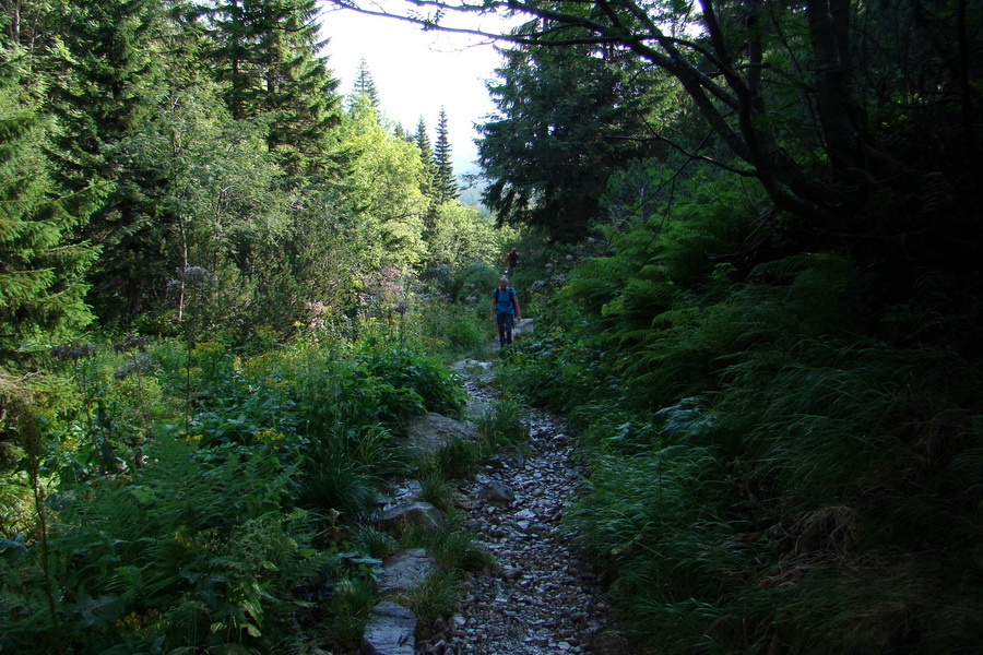 Skalka z Jasnej (Nízke Tatry)