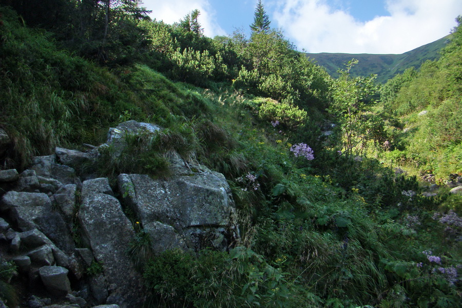 Skalka z Jasnej (Nízke Tatry)