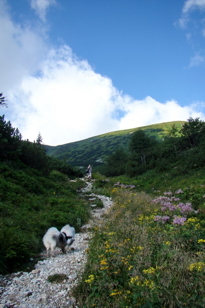 Skalka z Jasnej (Nízke Tatry)