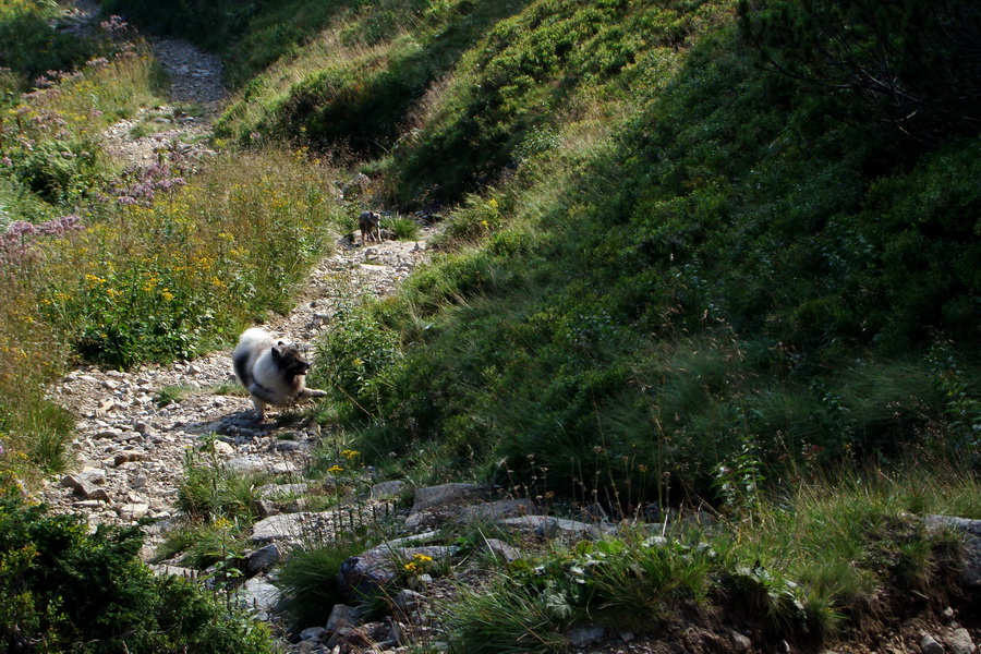 Skalka z Jasnej (Nízke Tatry)