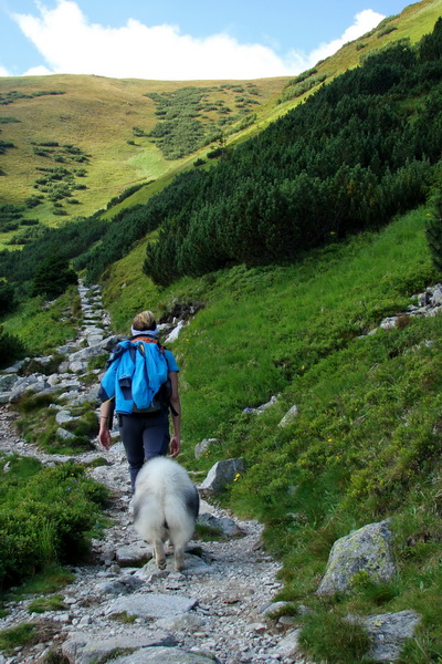 Skalka z Jasnej (Nízke Tatry)