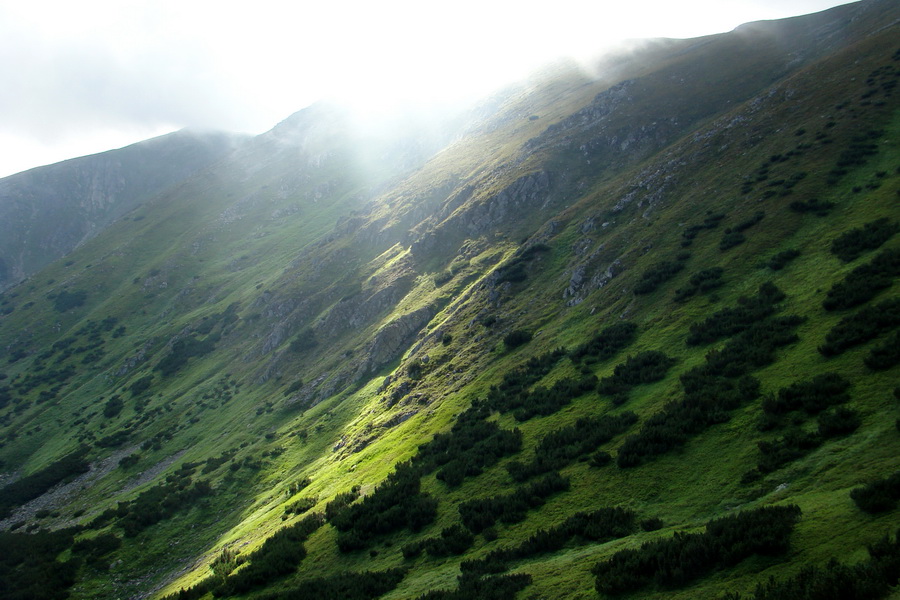 Skalka z Jasnej (Nízke Tatry)